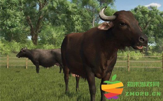 《模拟农场25 Farming Simulator 25》奶牛喂养技巧与最佳实践揭秘