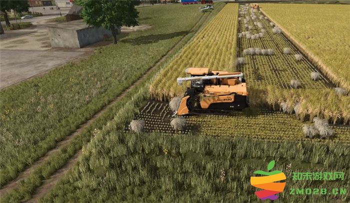 《模拟农场25 Farming Simulator 25》中水稻的种植技巧与方法详解