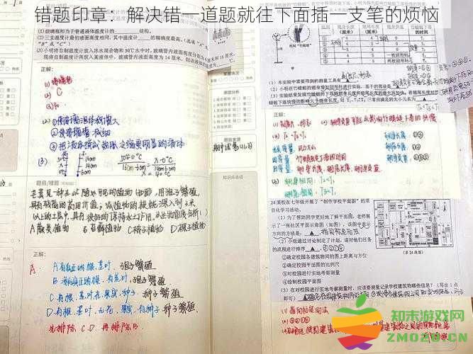 错题印章：每解决一道错题就在下方插一支笔的烦恼与困扰