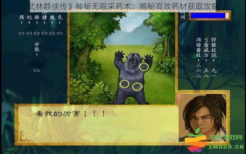 《武林群侠传》无限制采药技巧揭秘：高效获取药材的全方位攻略